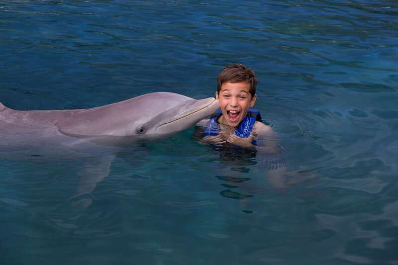 Riviera Maya: Swim with dolphins Interax - Your 45-minute schedule: where your time actually goes