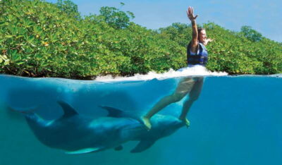 Riviera Maya: Swim with dolphins Primax - What You’re Really Booking: Delphinus Primax Interaction for 4