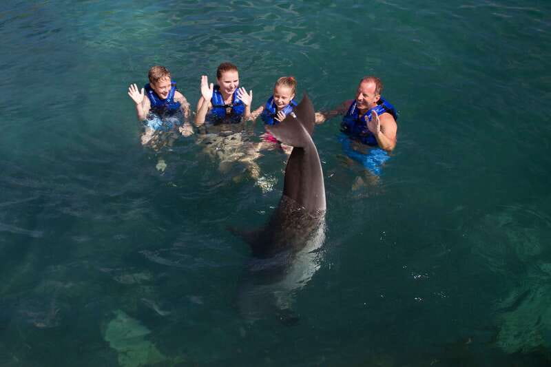 Riviera Maya: Swim with dolphins Primax - Value Check: What’s Included in the $197 Price
