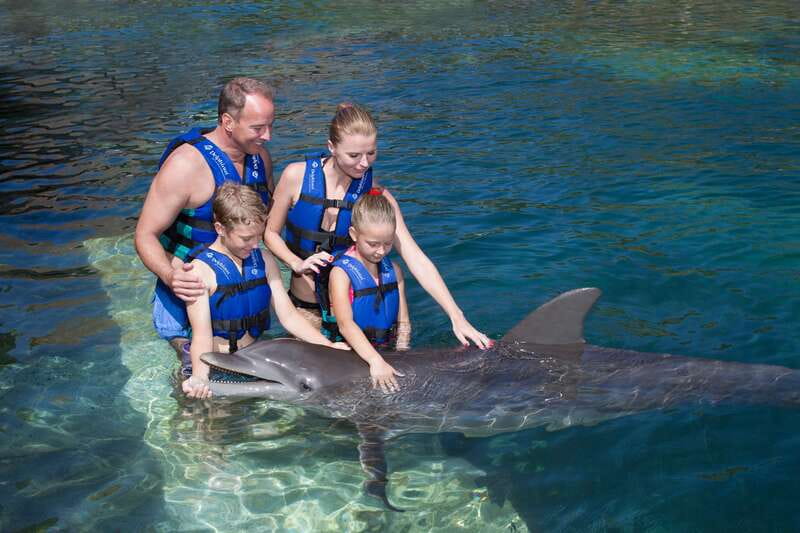 Riviera Maya: Swim with dolphins Primax - Price Reality: The Extra 50 MXN State Tax at Check-In