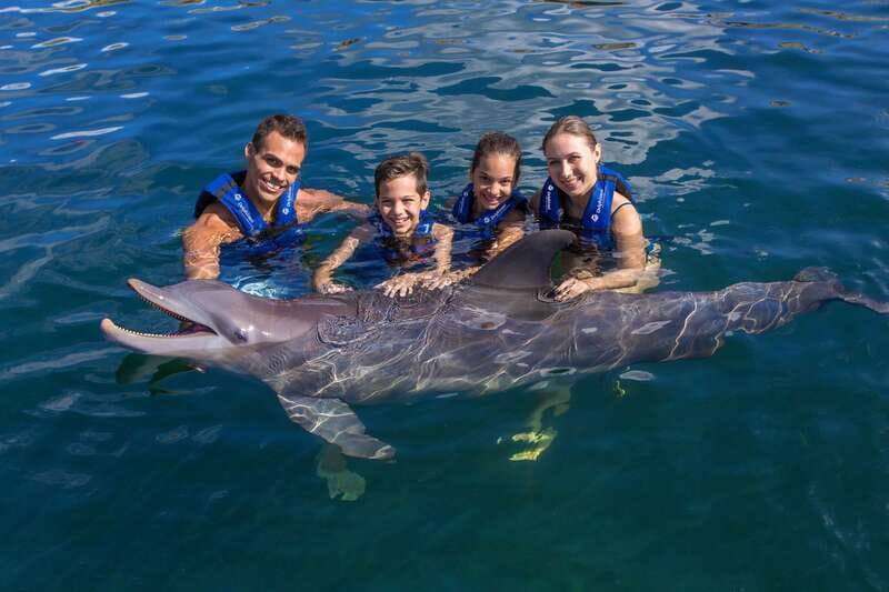 Riviera Maya: Swimming Experience with Dolphins - Key things to know before you book