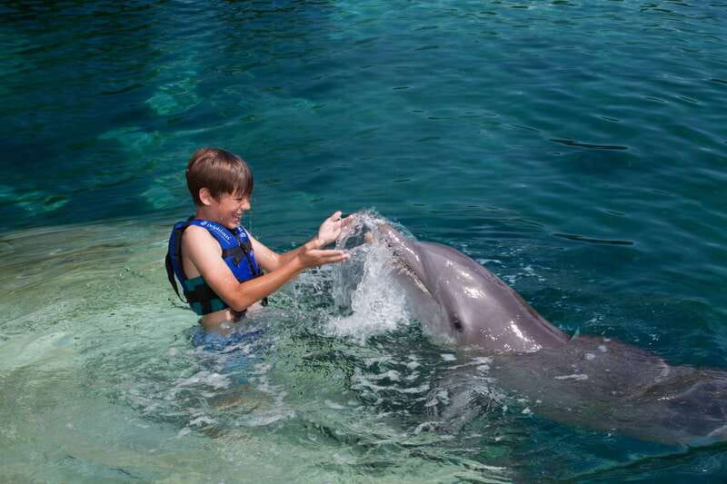 Riviera Maya: Swimming Experience with Dolphins - Dolphin Time in Quintana Roo: What This 45-Minute Program Is Really Like