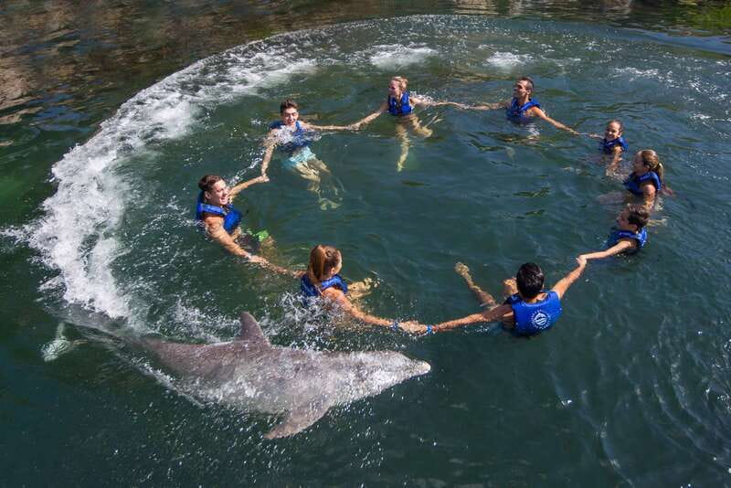 Riviera Maya: Swimming Experience with Dolphins - Interaction Quality: Why the Small Group and Staff Guidance Matter
