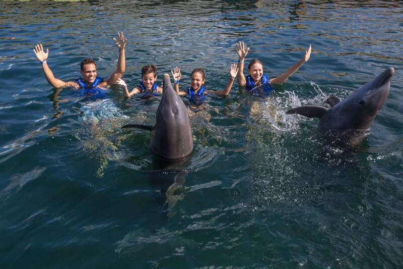 Riviera Maya: Swimming Experience with Dolphins - No Phones, No Cameras: How This Rule Changes the Value of the Experience