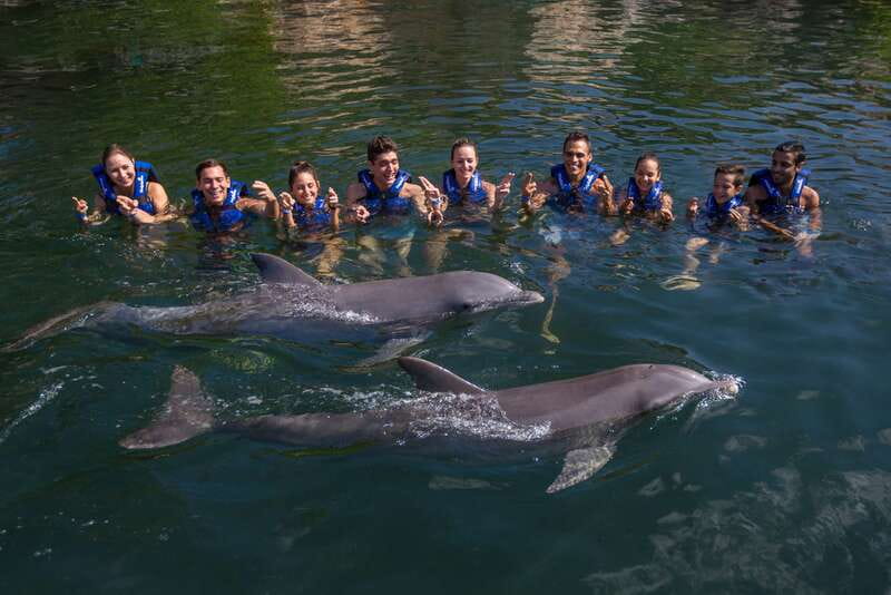 Riviera Maya: Swimming Experience with Dolphins - Price and Taxes: Is $127 Worth It?