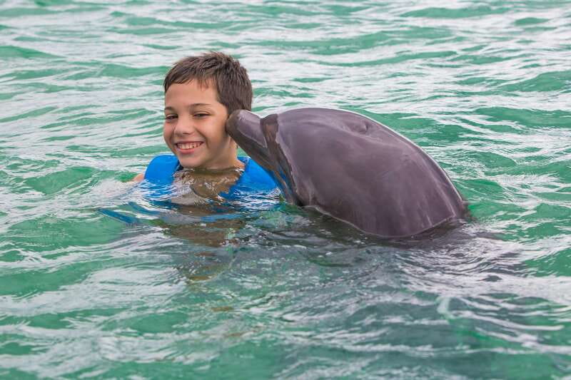 Riviera Maya: Swimming Experience with Dolphins - Meeting Point by Xcaret Park: Getting There Without Stress