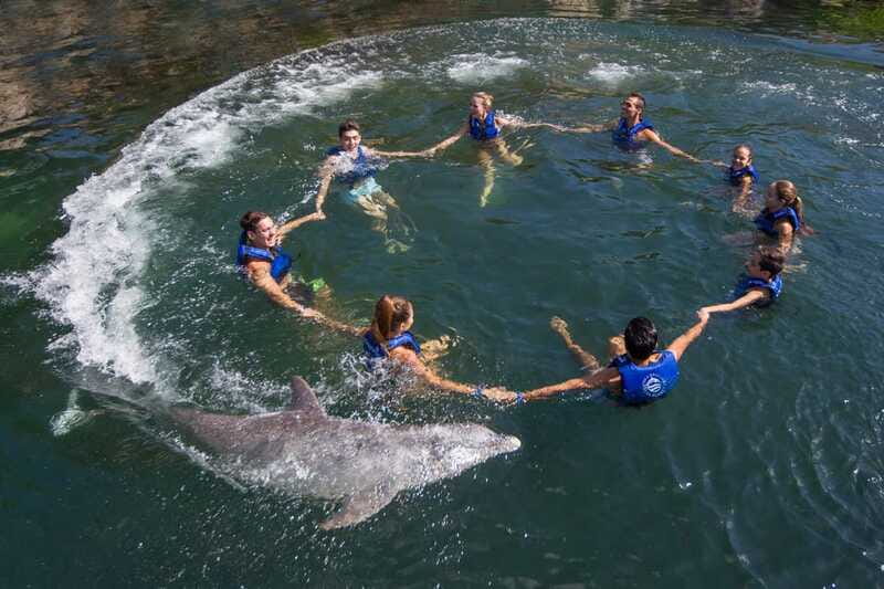 Riviera Maya: Swimming Experience with Dolphins - Who This Dolphin Swim Fits Best
