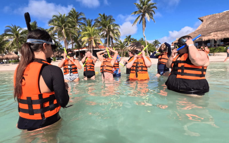Riviera Maya: Tulum Ruins Tour, Turtle Swimming, Cenotes, and Lunch. - Akumal turtle snorkeling: incredible animals, and why conditions matter