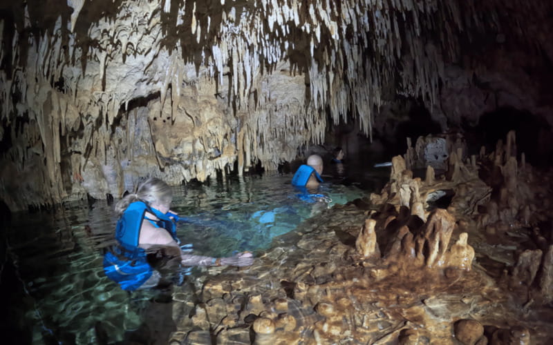Riviera Maya: Tulum Ruins Tour, Turtle Swimming, Cenotes, and Lunch. - Price and value: what $175 covers and the $45 fee to plan for