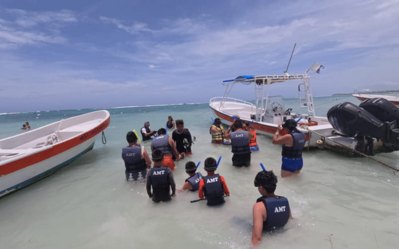 Riviera Maya: Tulum Ruins Tour, Turtle Swimming, Cenotes, and Lunch. - Small-group comfort and the pickup reality: how to avoid the stress