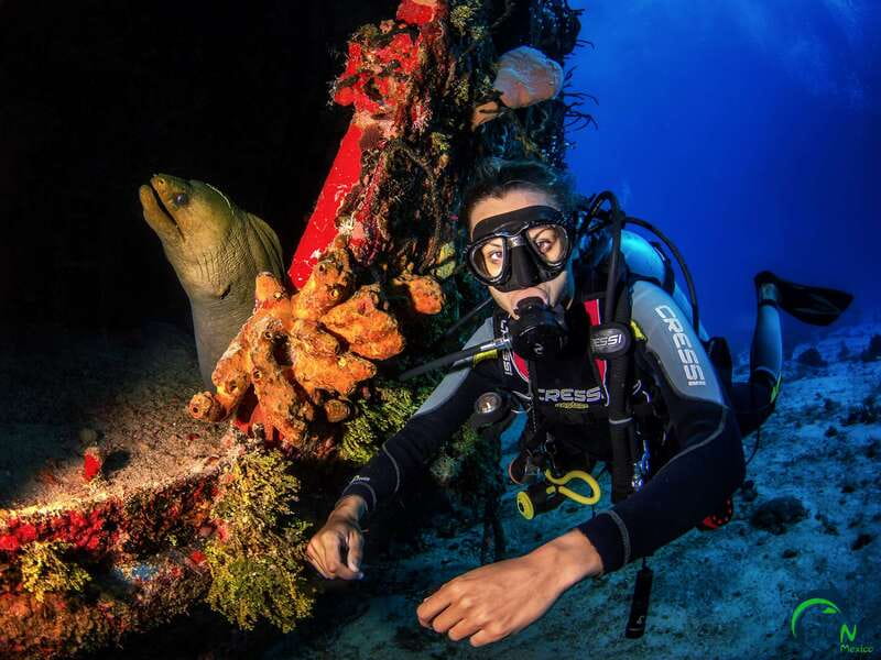 Scuba Dive in Playa del Carmen - 2 Dives (Certified divers) - Reef Conditions vs. Big-Stage Scuba: A Balanced Take