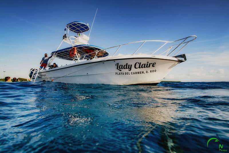 Scuba Dive in Playa del Carmen - 2 Dives (Certified divers) - Who This Experience Fits Best (and Who Should Skip It)
