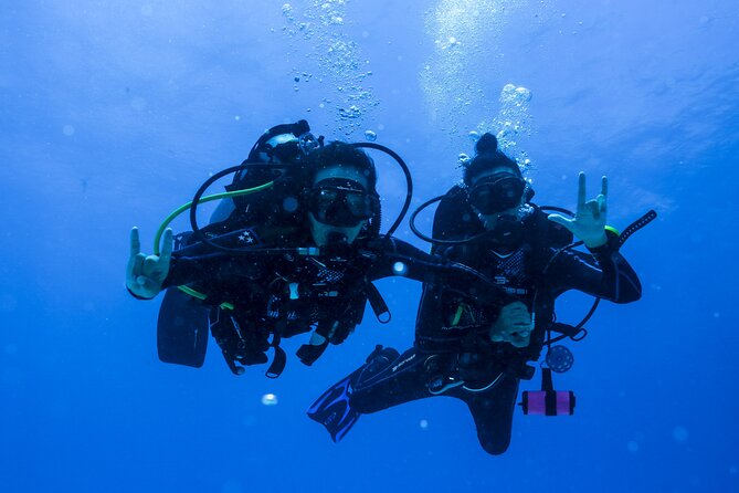 Scuba Diving for Beginners – Tulum Dive Machine - Cuevitas Reef: coral, fish, turtles, and stingrays