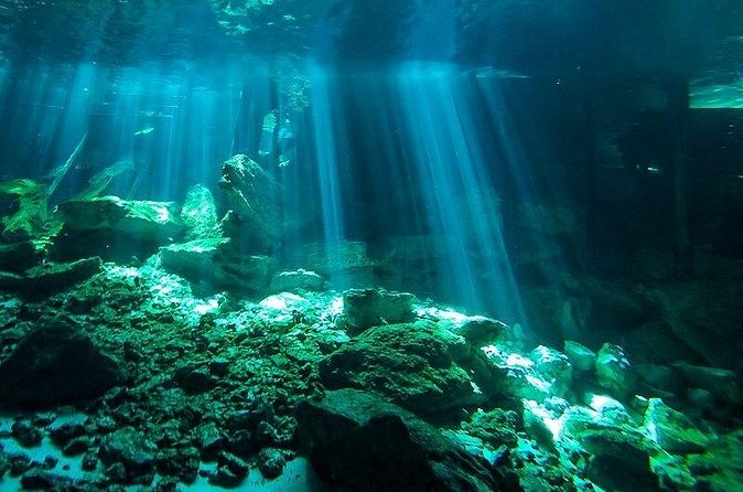 Scuba Diving in Cenote Dos Ojos from Playa del Carmen - Who this Cenote Dos Ojos program is best for