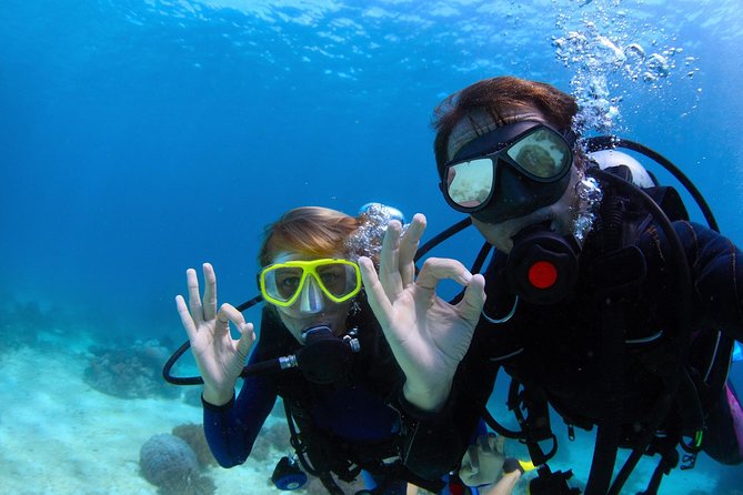 Scuba Referral Dives & Beach Club with Transportation In Riviera Maya - Hotel Transfers and the 9:30 AM Start: How the Day Actually Runs