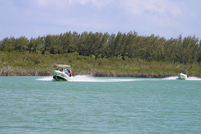 Sian Ka'an Classic - Wildlife spotting that actually feels informed: guide names to know