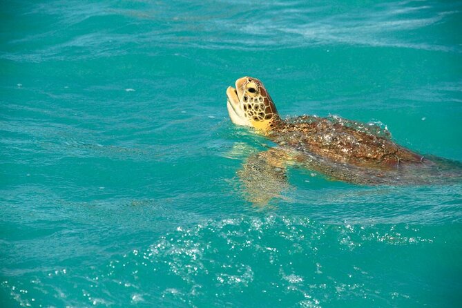 Sian Ka'an Classic - Stop 2: Punta Allen and those crystal-clear natural pools