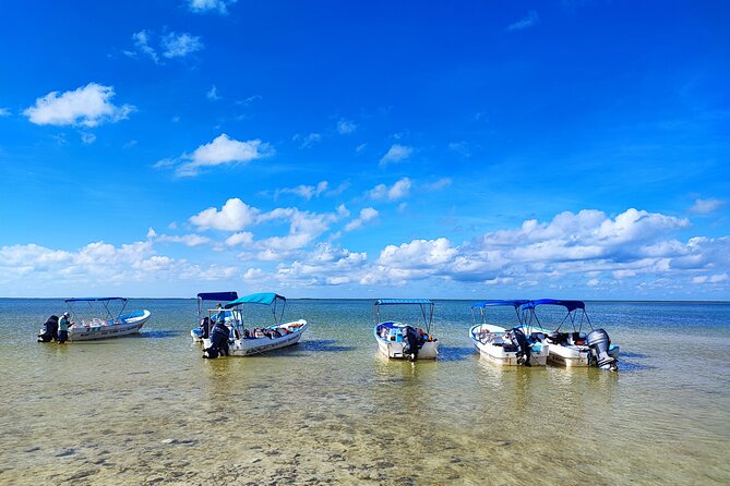 Sian Ka'an Trip from Playa del Carmen & Tulum - The 3-hour boat ride through mangroves