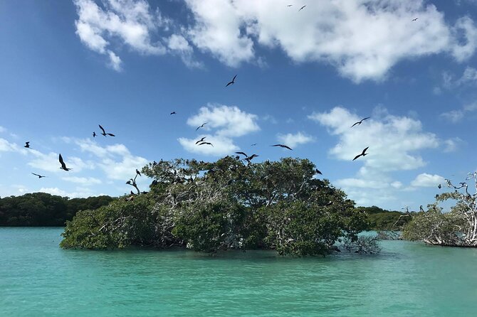 Sian Ka'an Trip from Playa del Carmen & Tulum - Punta Allen lunch and the mini tour stop
