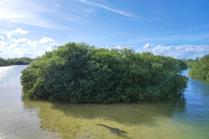 Sian Ka'an Trip from Playa del Carmen & Tulum - Price and value: what $219 covers (and what doesn’t)