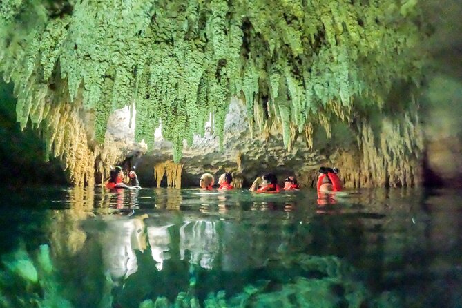 Small Group Tour to Cenote Cave and Sea Turtles snorkeling - Akumal Beach sea turtles: how to snorkel without messing up the moment