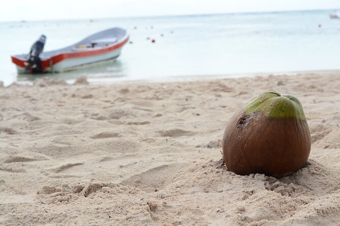 Snorkel Tour! Turtles & Underground Cenote from Playa del Carmen - Who This Tour Fits Best (and Who Might Rethink It)