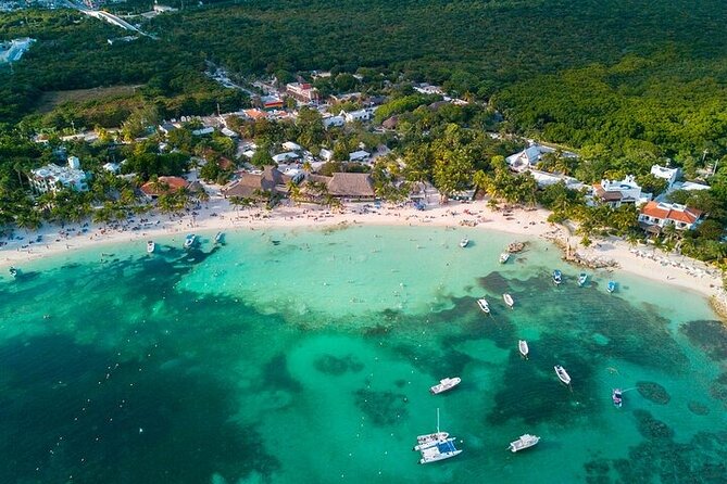 Snorkeling Experience with Turtles in Cenote in Riviera Maya - The Cenote Swim: Freshwater, Stalactites, and a Wetsuit You’ll Actually Use