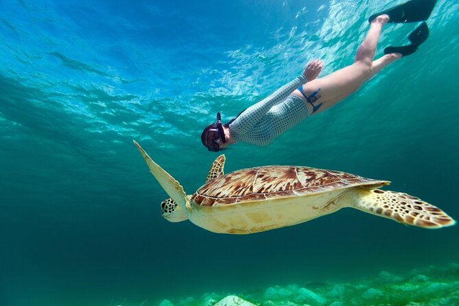 Snorkeling with Turtles and Cenotes - Why This Turtle + Cenote Combo Works from Playa del Carmen