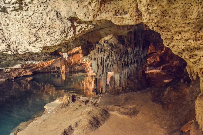 Snorkeling with Turtles and Cenotes - Transportation and Meeting Points: Plan Around a 7:00am Start