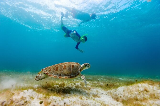 Snorkeling with Turtles and Cenotes - What to Bring So the Day Feels Easy