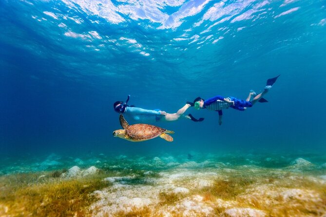 Snorkeling with Turtles and Cenotes - Weather, Timing, and the One Thing You Can’t Control