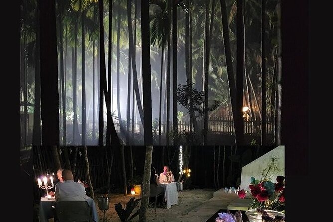 Steak or Lobster dinner in a magical jungle setting. - Key highlights at a glance