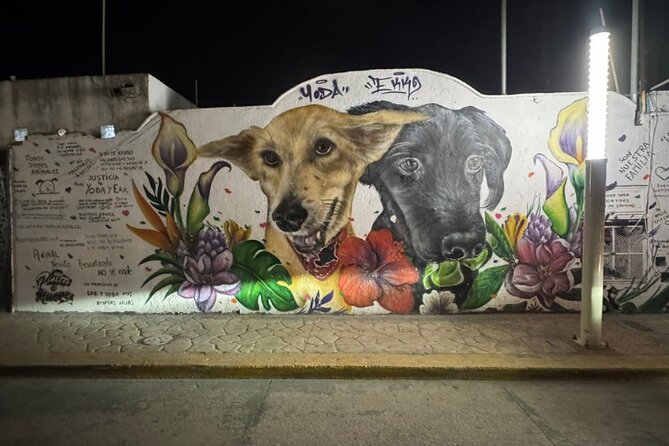 Street Art & Cemetery Cultural Tour - half day - What to Expect During the Walks: Time, Food Breaks, and Pace