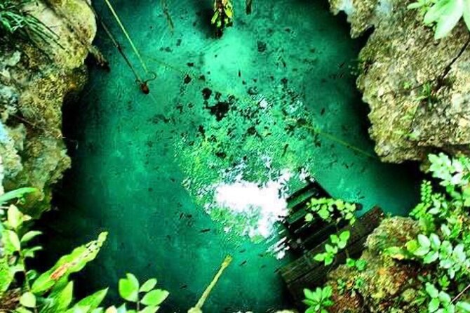 Tour Cenote Santa Cruz - Gear and Setup: Flashlights, Snorkel Gear, Life Jackets