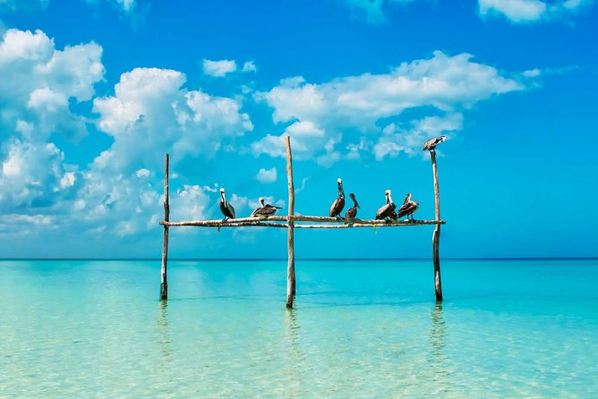 Tour Holbox - Two Island & Cenote from Cancun & Playa Del Carmen - Holbox Island: Beach Lunch, Colorful Streets, and Pasión Island Views