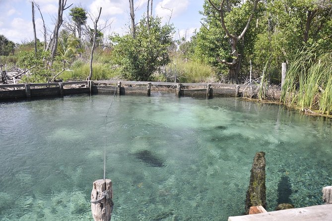 Tour Holbox - Two Island & Cenote from Cancun & Playa Del Carmen - Guides and Group Size: When Organization Really Shows