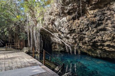 Tour to Cenote Cave and Sea Turtles Encounter - Akumal Bay Sea Turtle Snorkeling: Calm Water, Real Wildlife Rules