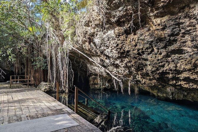 Tour to Cenote Cave and Sea Turtles Encounter - Akumal Bay Sea Turtle Snorkeling: Calm Water, Real Wildlife Rules