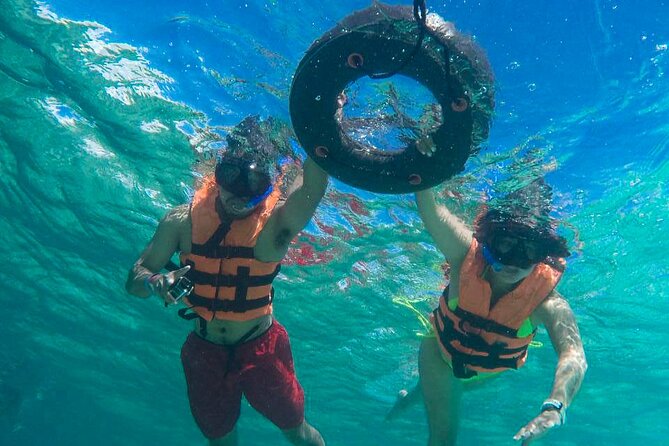 Tour to swim with turtles - Value and timing: why 1.5 hours can be the right amount