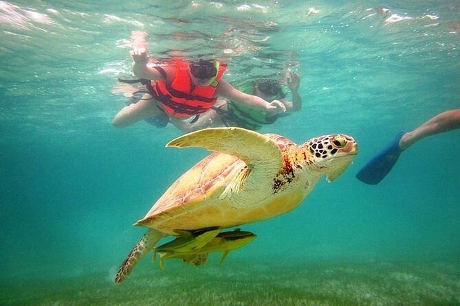 Tour to Tulum and cenote with swimming with turtles from Riviera Maya - Tulum Archaeological Site: big views, big time, and real walking