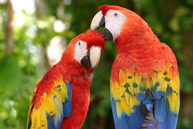 Tour Xcaret All Inclusive from Playa del Carmen - Included Transportation - Key points to know before you go