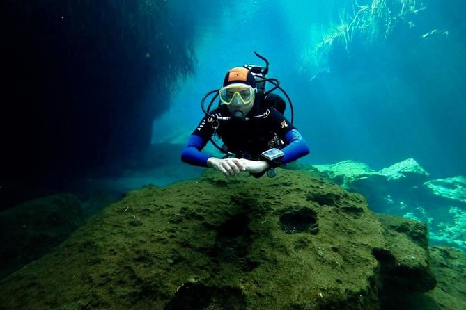Try dive in beautiful Casa cenote for 2 people - The light, mangrove roots, and wildlife in your second tank