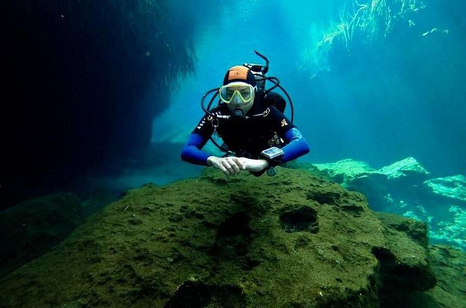 Try dive in beautiful Casa cenote for 2 people - Price and value: is $190 per person fair?