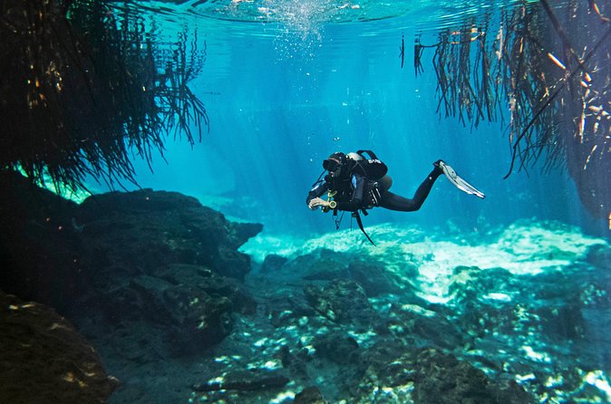 Try dive in beautiful Casa cenote for 2 people - Who this scuba experience is best for