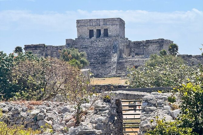 Tulum + 2 Cenotes & Authentic Taco Adventure - Key highlights to know before you go