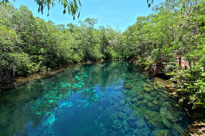 Tulum + 2 Cenotes & Authentic Taco Adventure - Price and value: is $260 per person fair here?