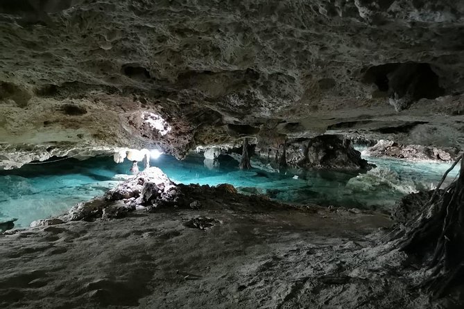 Tulum & Cenotes Private Tour - Private Transportation: The Real Cost Saver