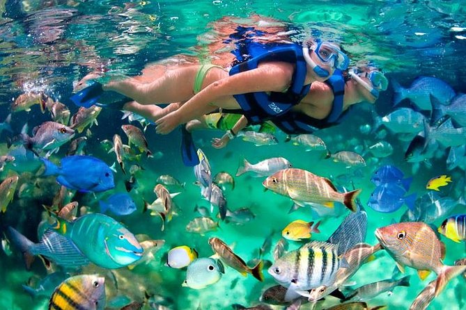 Tulum Coba Akumal Snorkel tour Premium Service Small Group - How the Tulum–Akumal–Coba day flows (and why it feels efficient)
