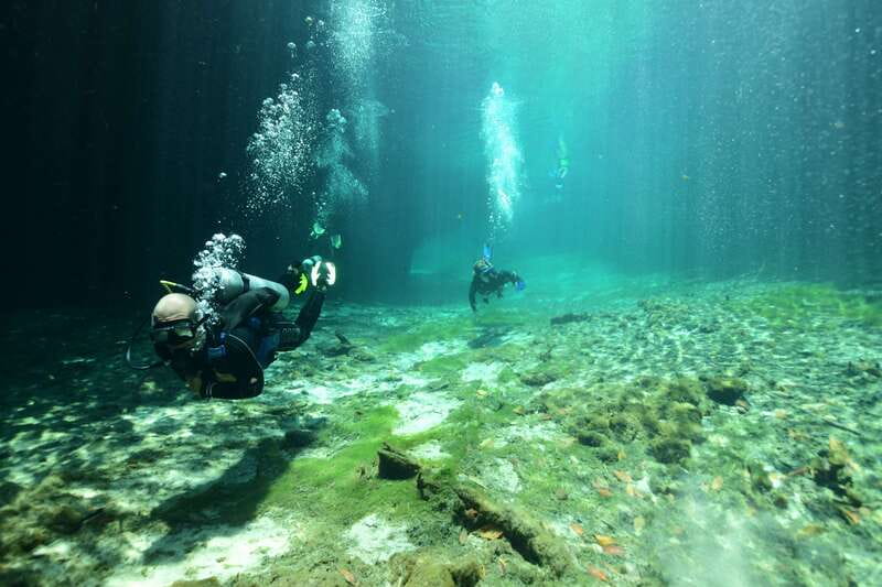 Tulum: Discover Scuba Diving in Cenotes - Key things that make this cenote intro scuba tour work