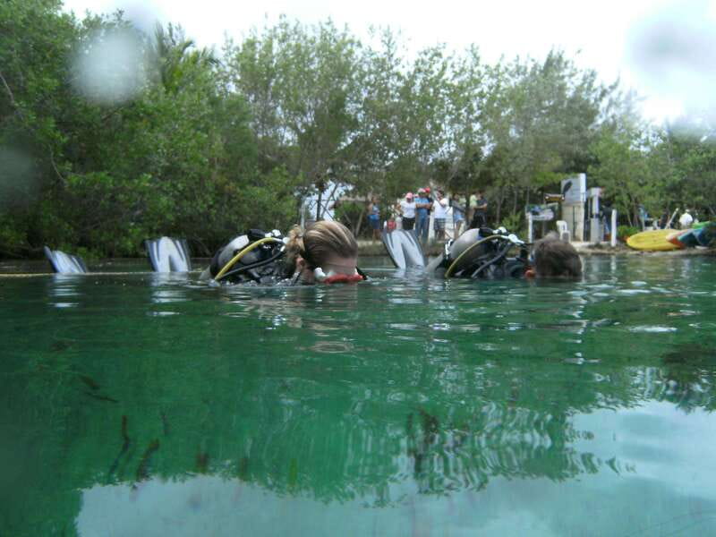 Tulum: Discover Scuba Diving in Cenotes - Cenotes in Tulum: why this setting is perfect for first-time scuba